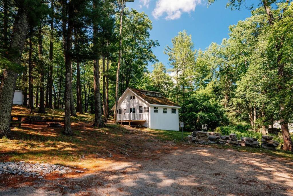 Cabin On Beautiful Arbutus Lake Near トラバーズ・シティ エクステリア 写真
