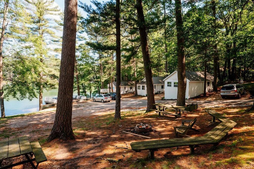 Cabin On Beautiful Arbutus Lake Near トラバーズ・シティ エクステリア 写真